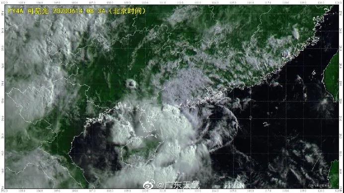 良種良法\臺(tái)風(fēng)來了，你的牛大力種植場(chǎng)準(zhǔn)備好了嗎？